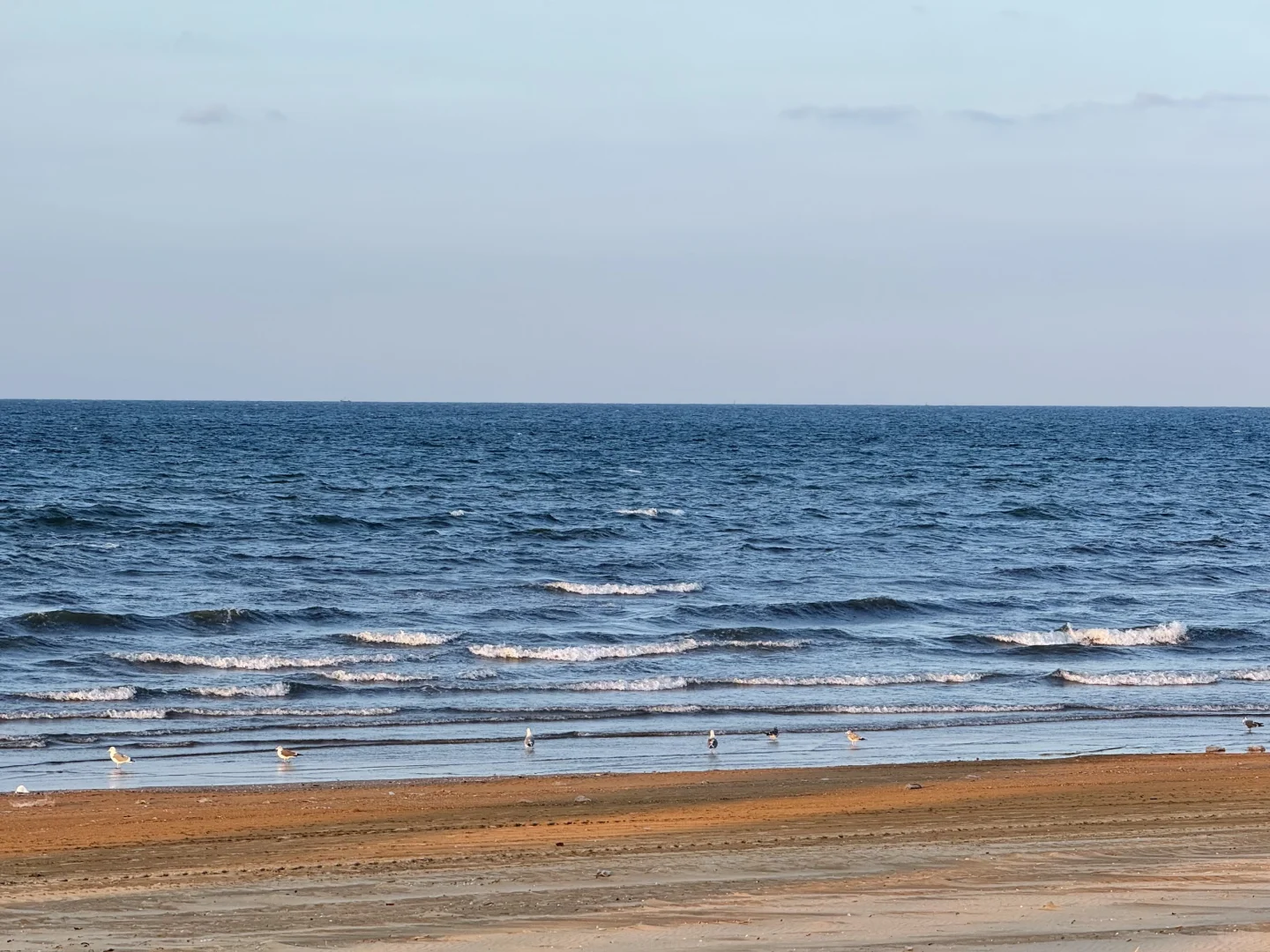 🍂 烟台十一月漫游指南：山海尽染的醉人