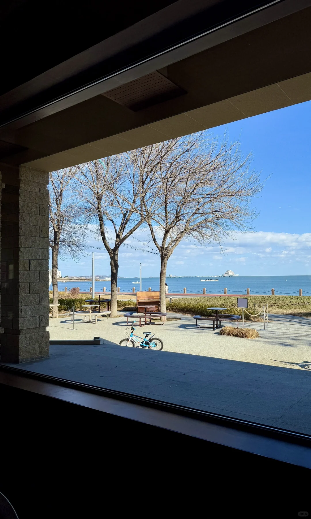 🌊已经开始期待 冬天的烟台！