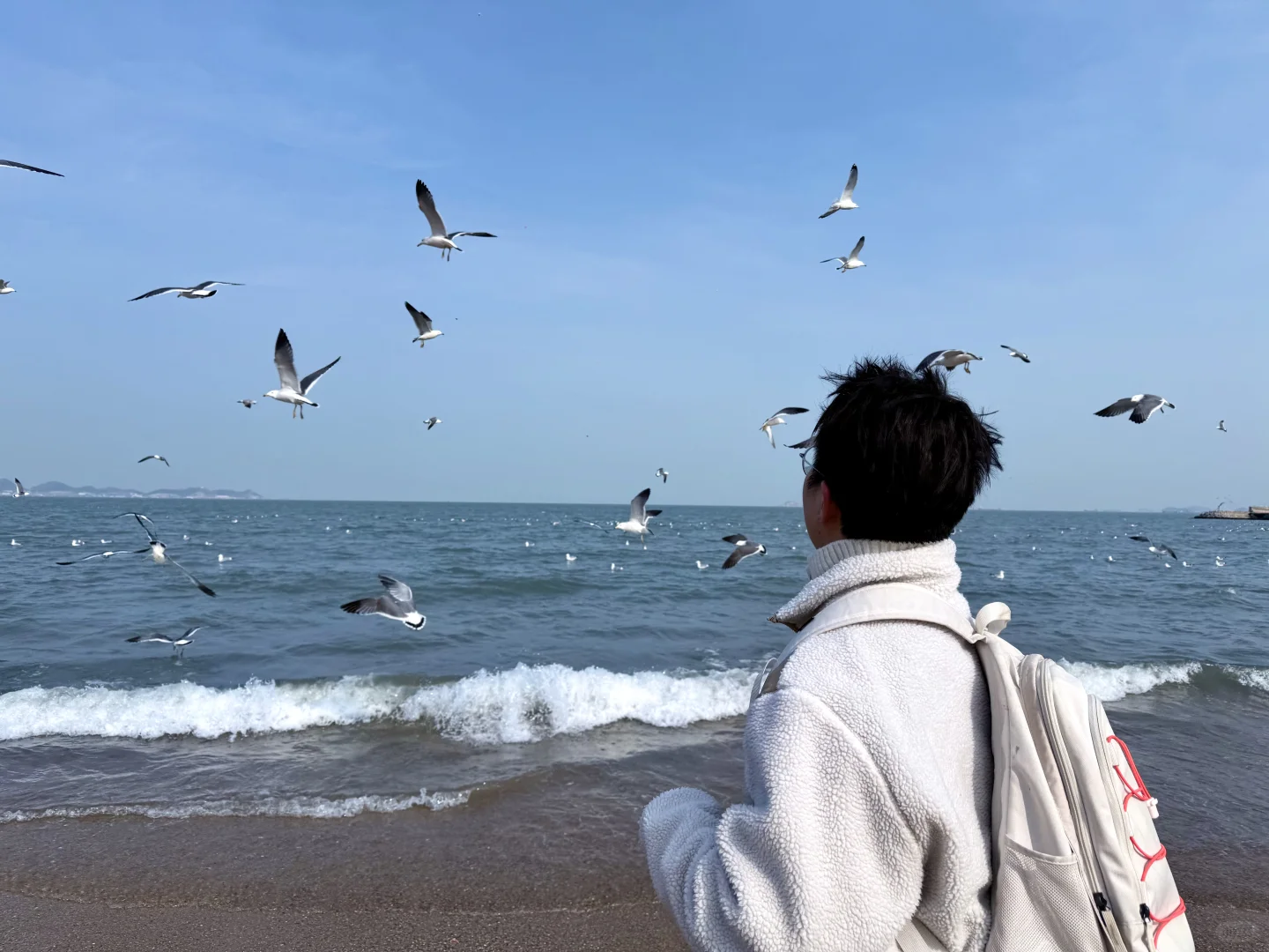 淡季的烟台真的不会惩罚不做攻略的人！