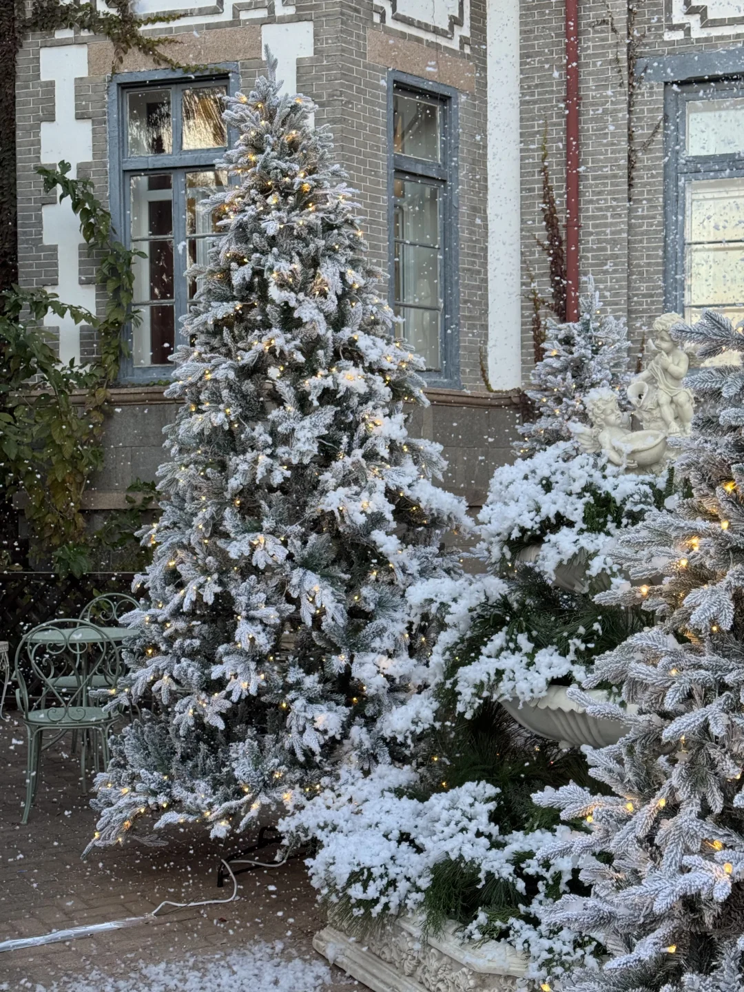Naturing｜空间 ｜圣诞 烟台初雪
