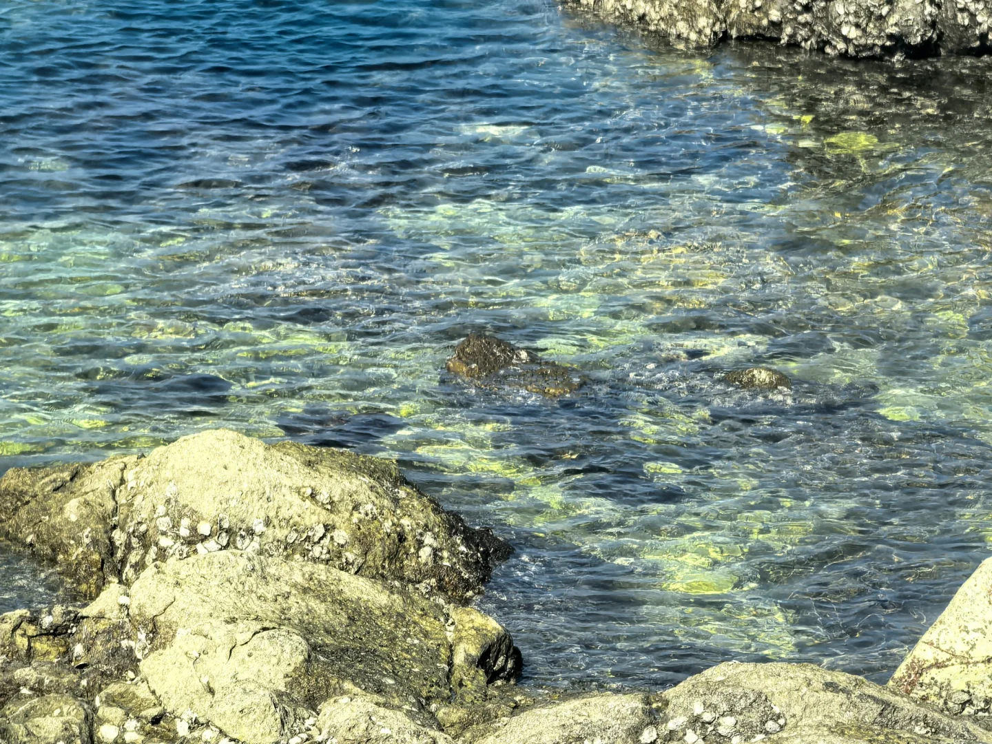 烟台的秋天很生动🌊