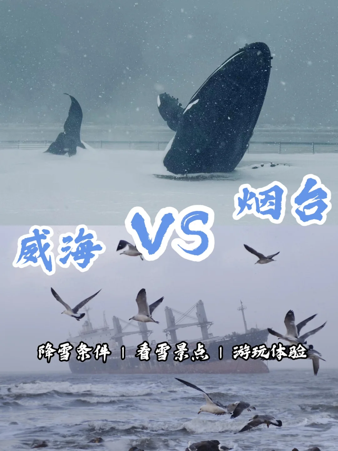 烟台vs威海｜冬季看雪❄️二选一该去哪