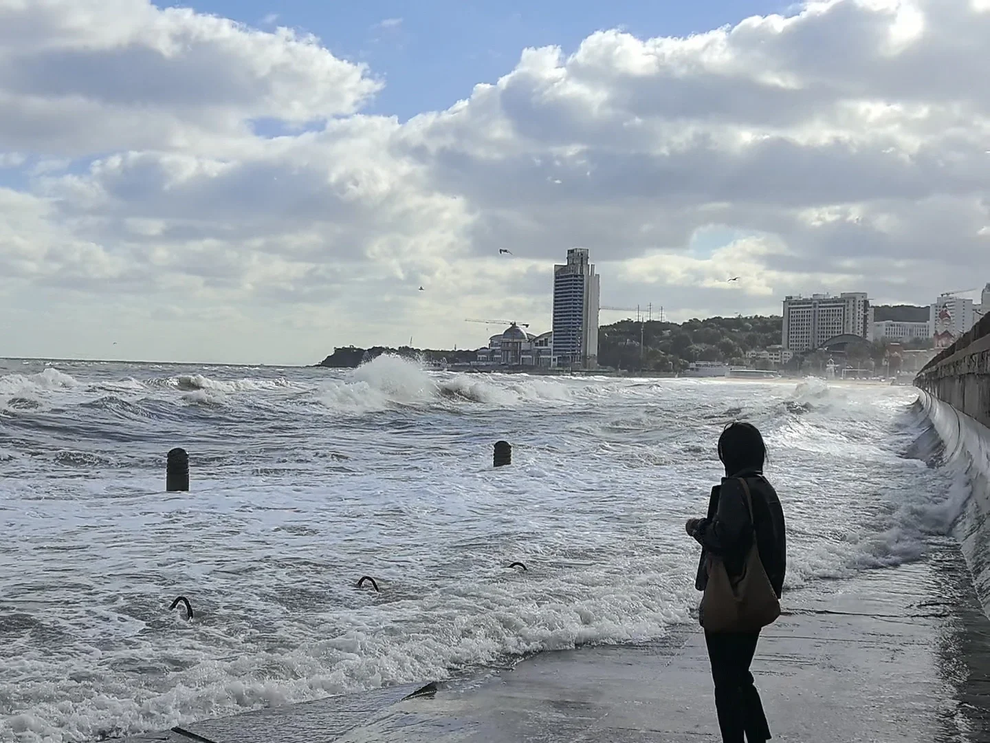 烟台的秋天很生动🌊