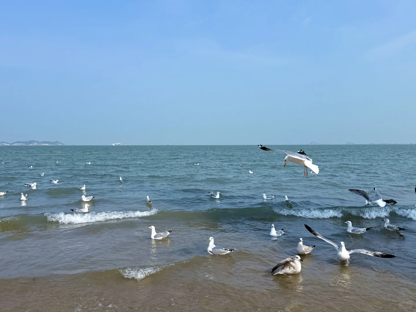 淡季的烟台真的不会惩罚不做攻略的人！