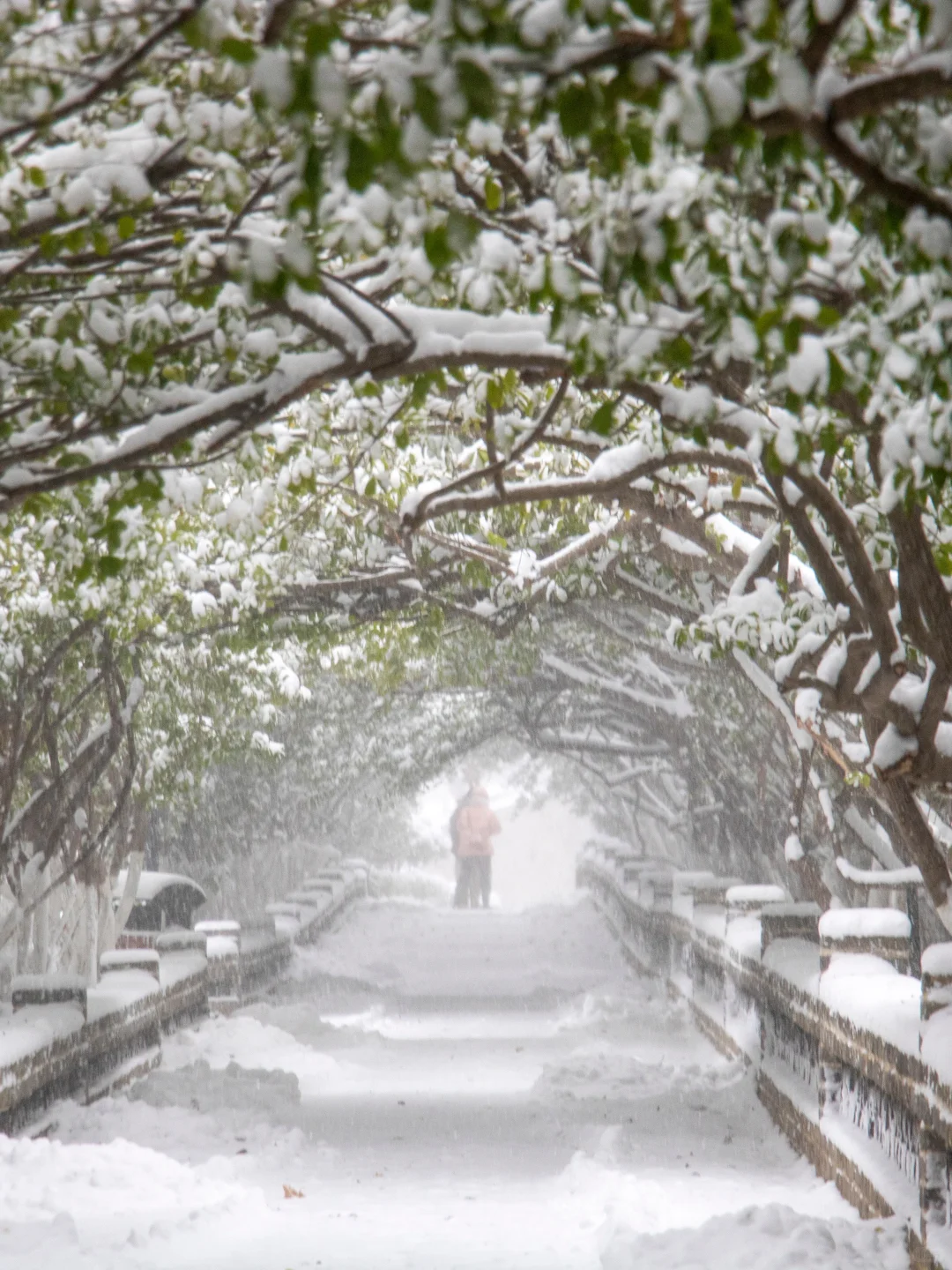 这辈子一定要来看看下雪的烟台❄（攻略版）