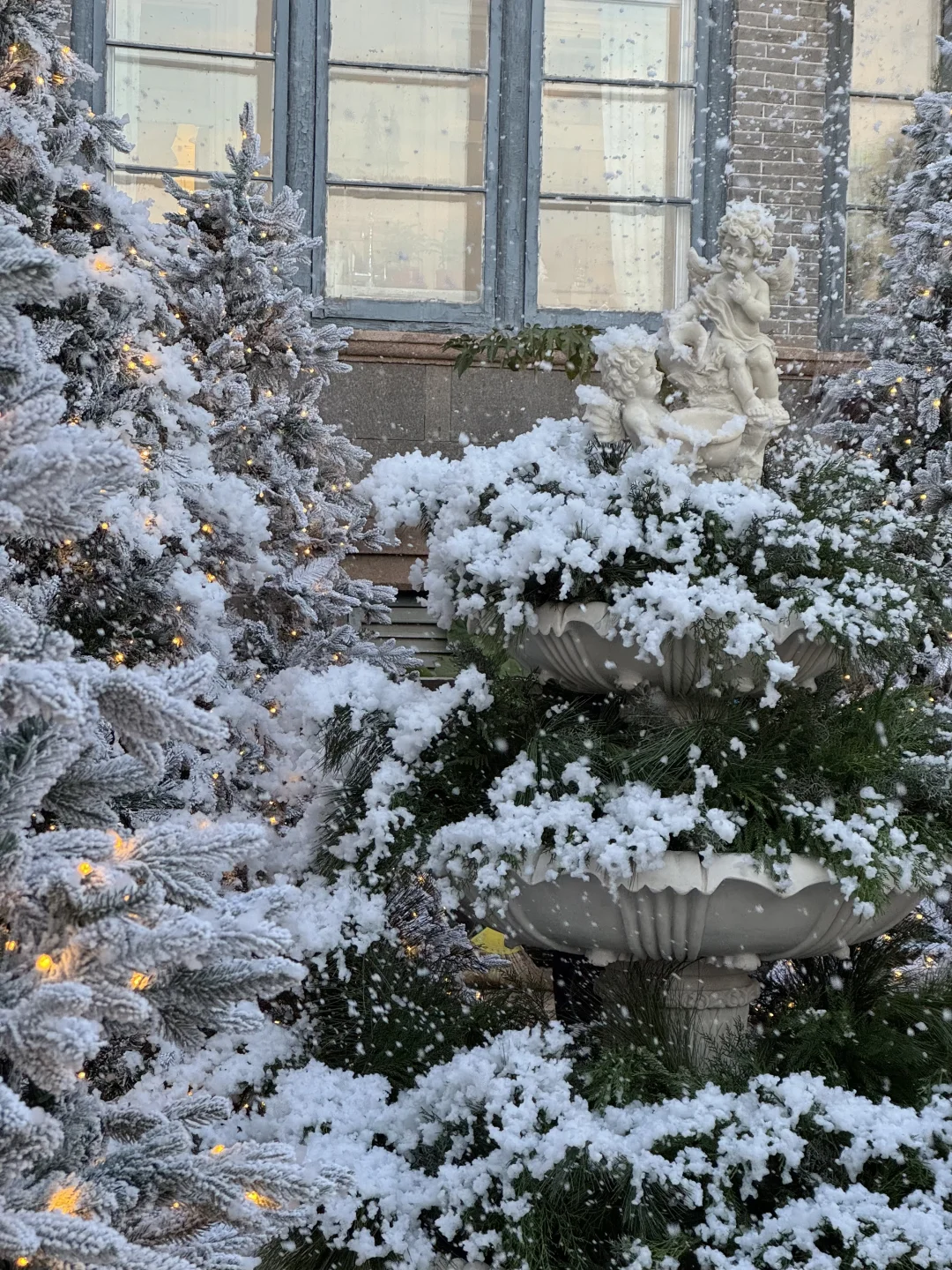 Naturing｜空间 ｜圣诞 烟台初雪