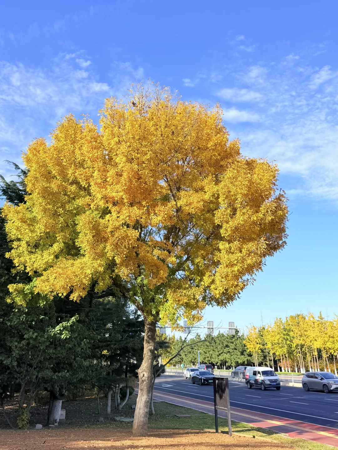 我他妈的又一个人来烟台海边看海（11.10号）