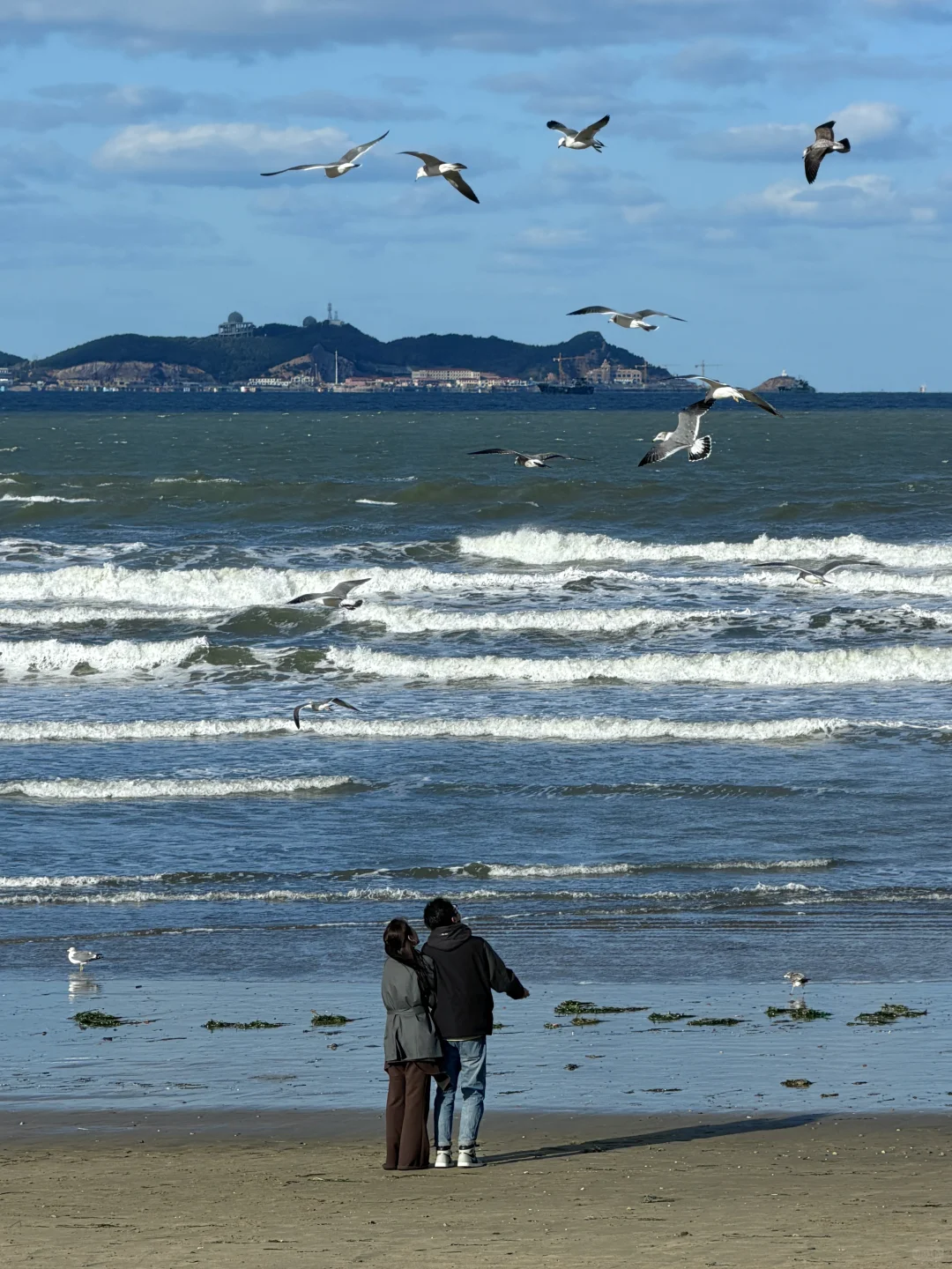 live实况🌊谁懂今天烟台海边的含金量！！！