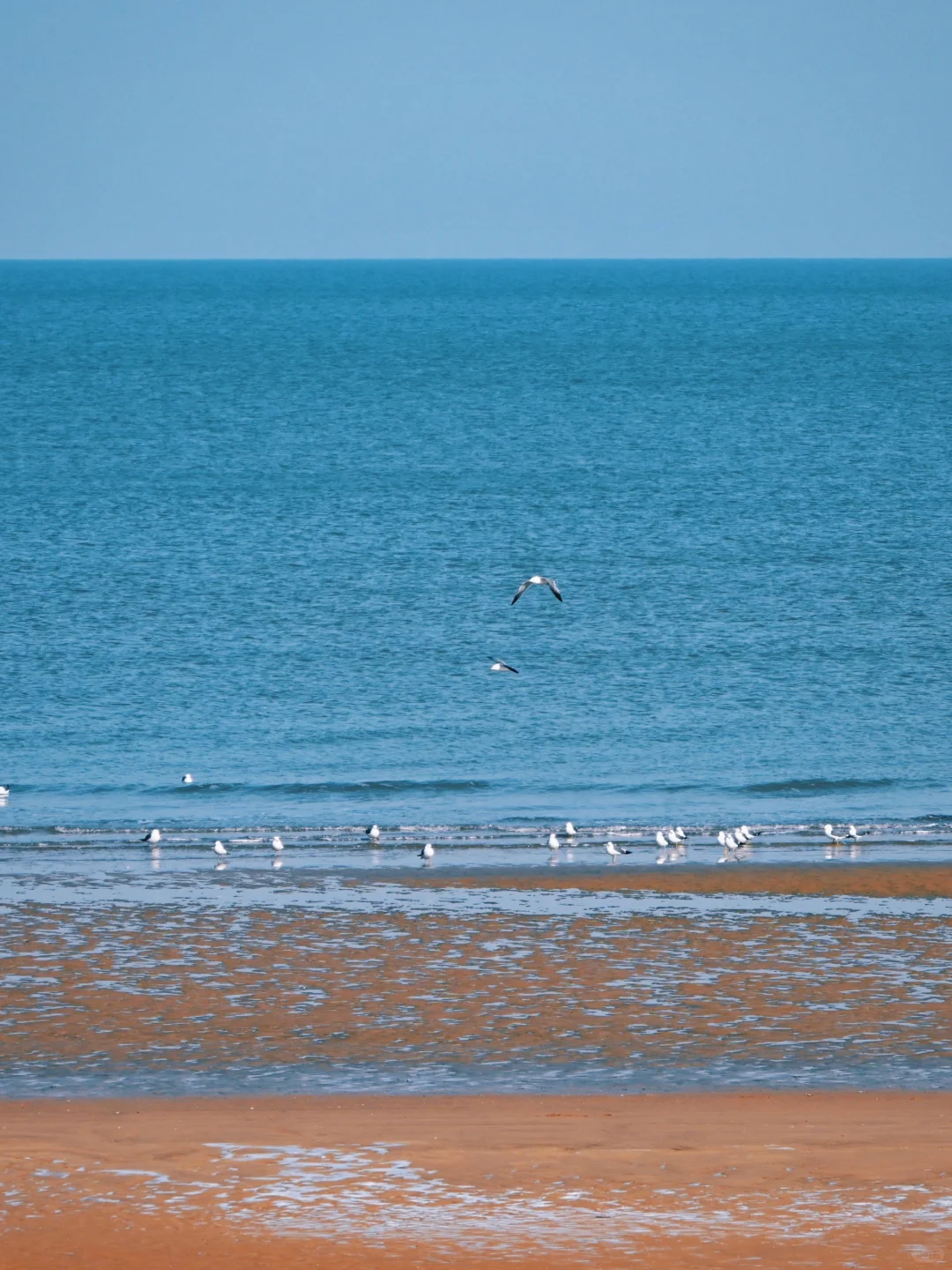 中国宜居城市四十六：烟台