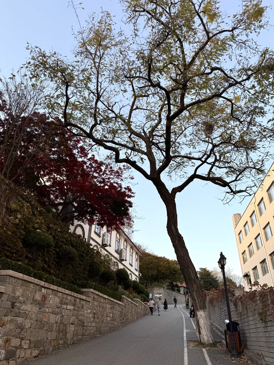 冰冰姐，你的家乡好美…