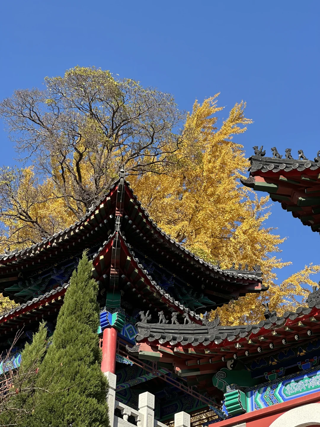 烟台！我们有自己的千里江山图（最后！！！！！！