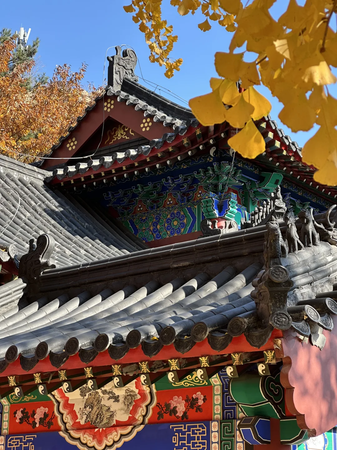 烟台！我们有自己的千里江山图（最后！！！！！！