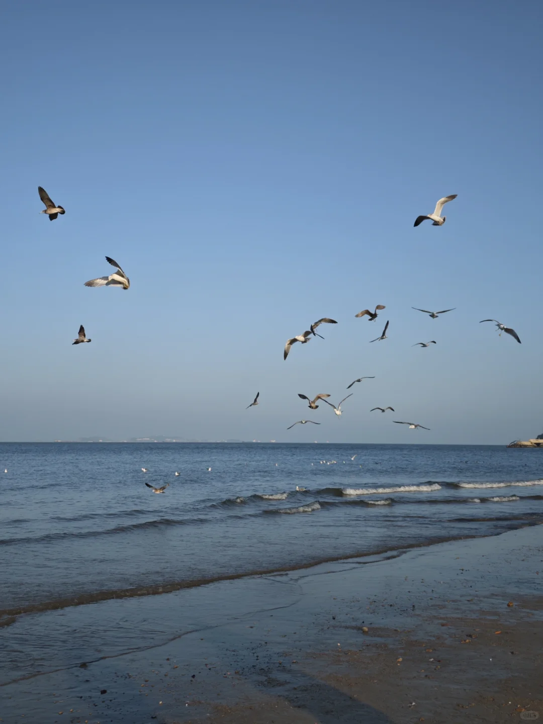 🍂 烟台十一月漫游指南：山海尽染的醉人