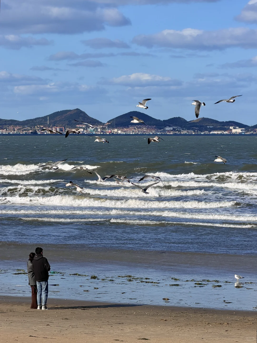 live实况🌊谁懂今天烟台海边的含金量！！！