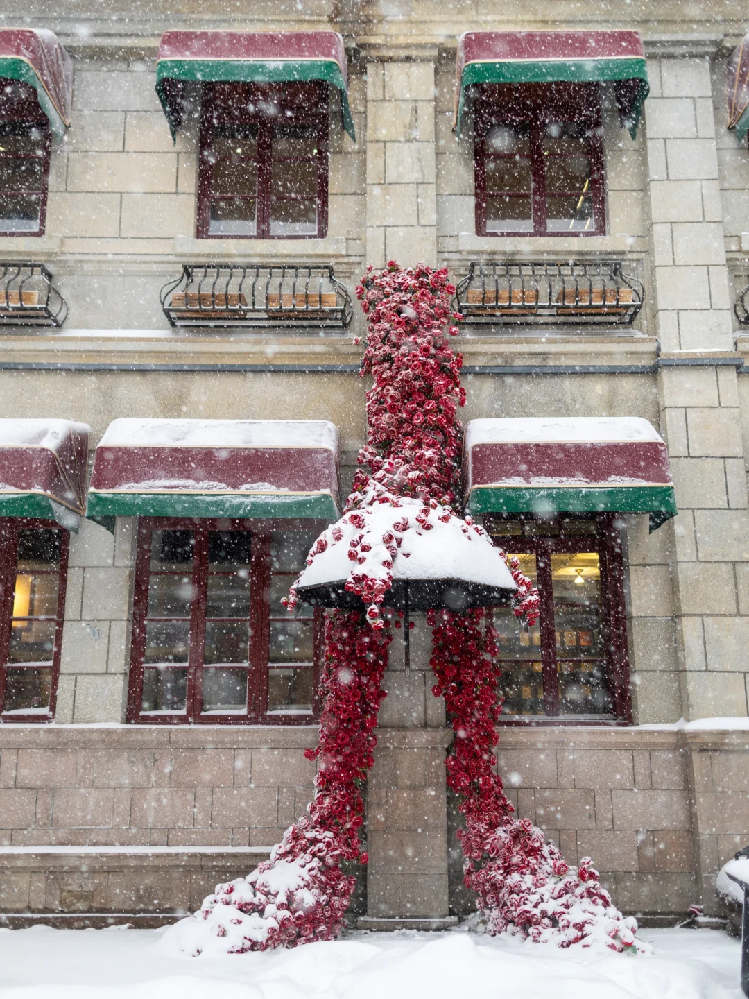 这辈子一定要来看看下雪的烟台❄（攻略版）