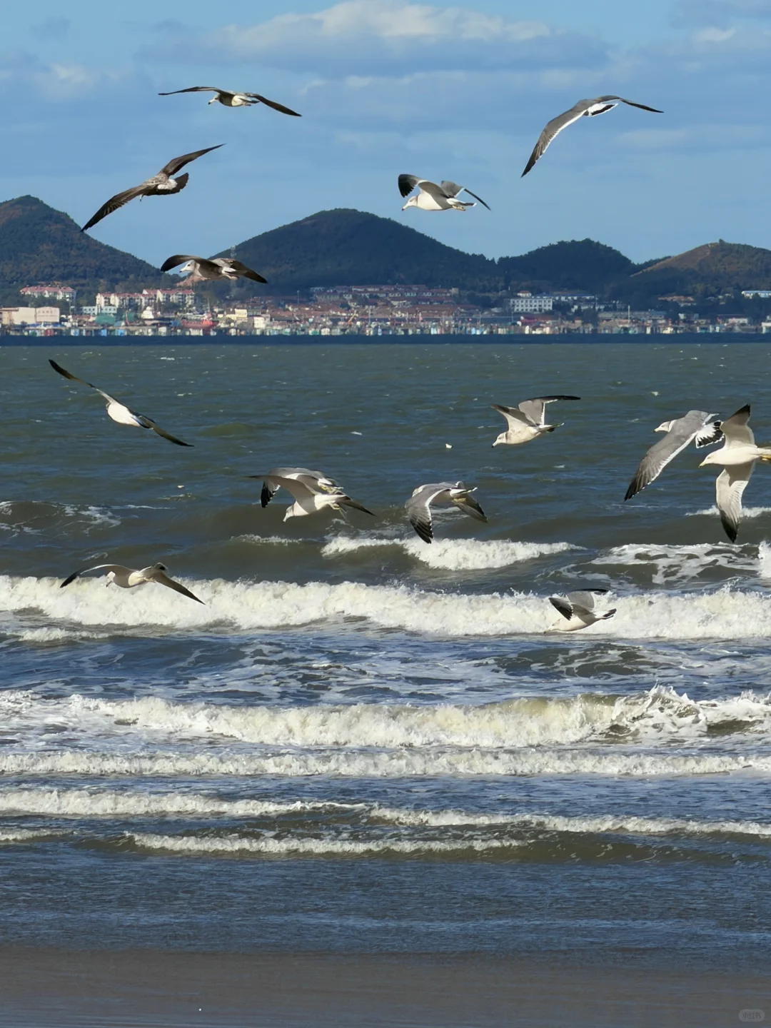 live实况🌊谁懂今天烟台海边的含金量！！！
