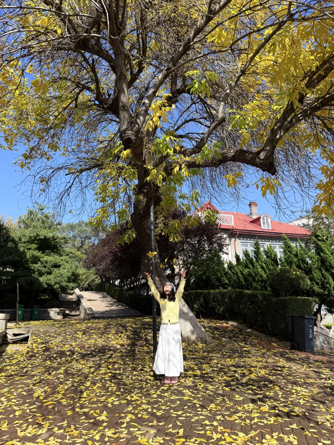 🍂 烟台十一月漫游指南：山海尽染的醉人