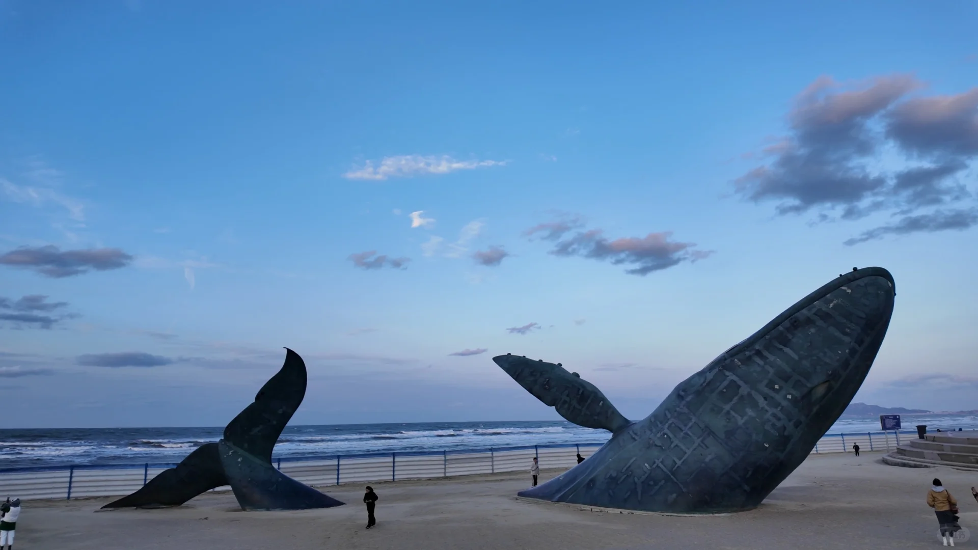 11月的烟台，你拿什么留住我