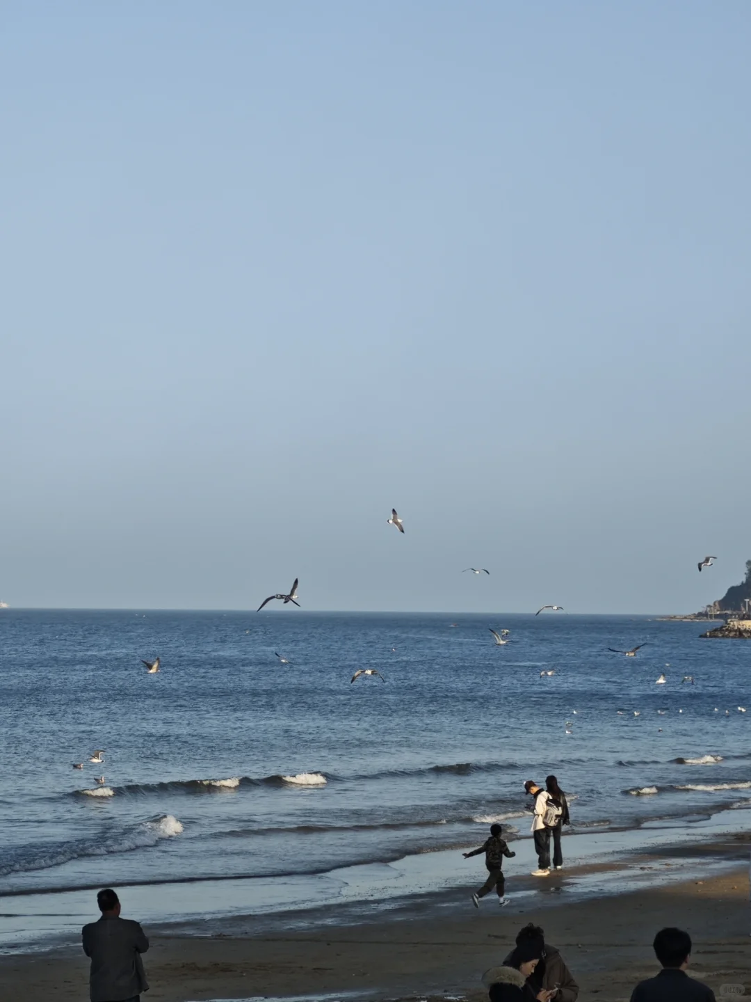 🍂 烟台十一月漫游指南：山海尽染的醉人