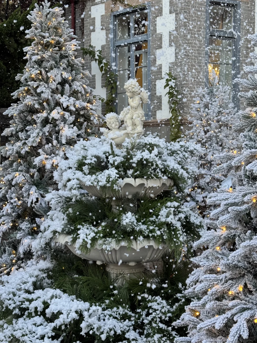 Naturing｜空间 ｜圣诞 烟台初雪