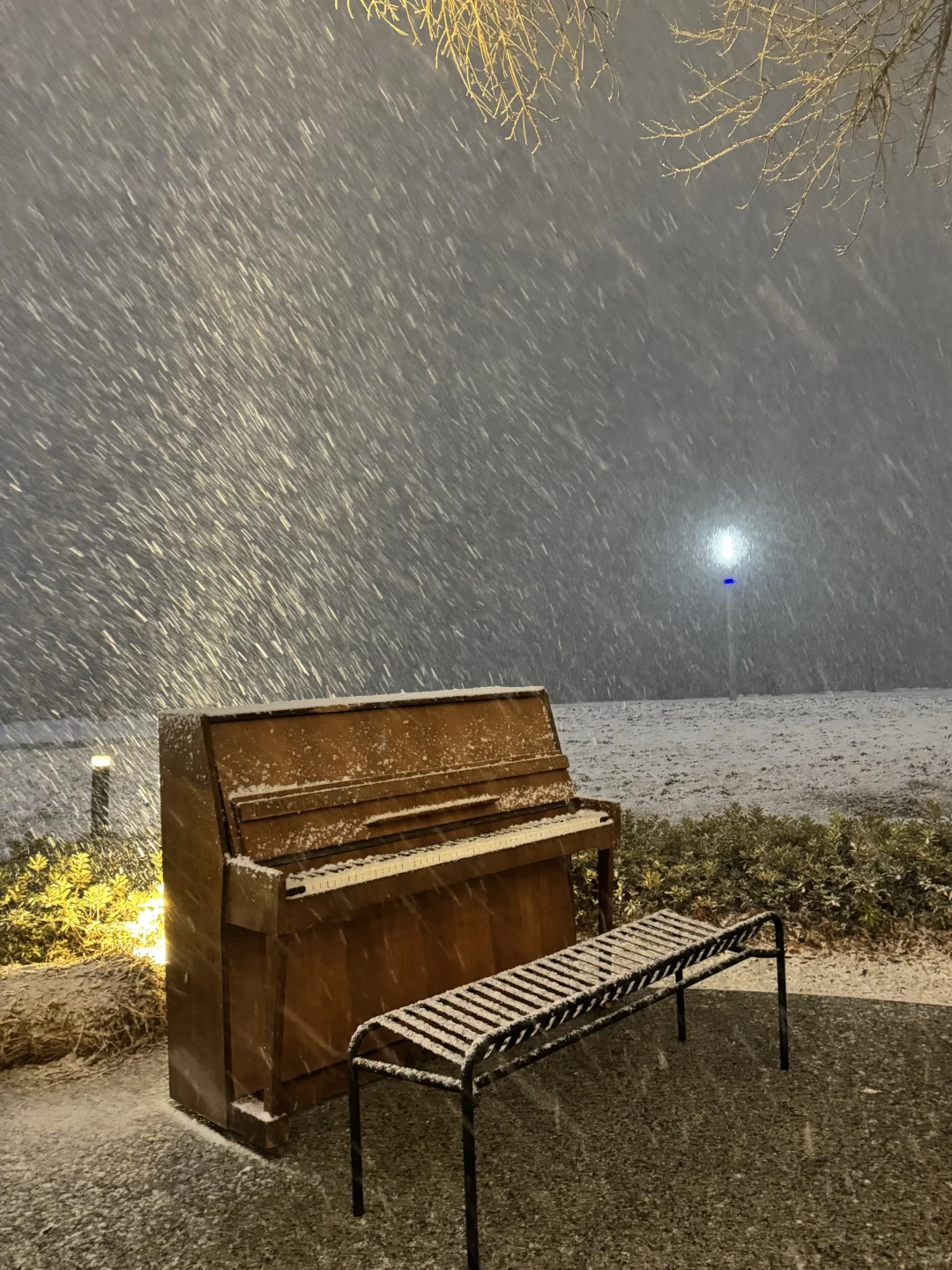 如果你也喜欢烟台的冬天