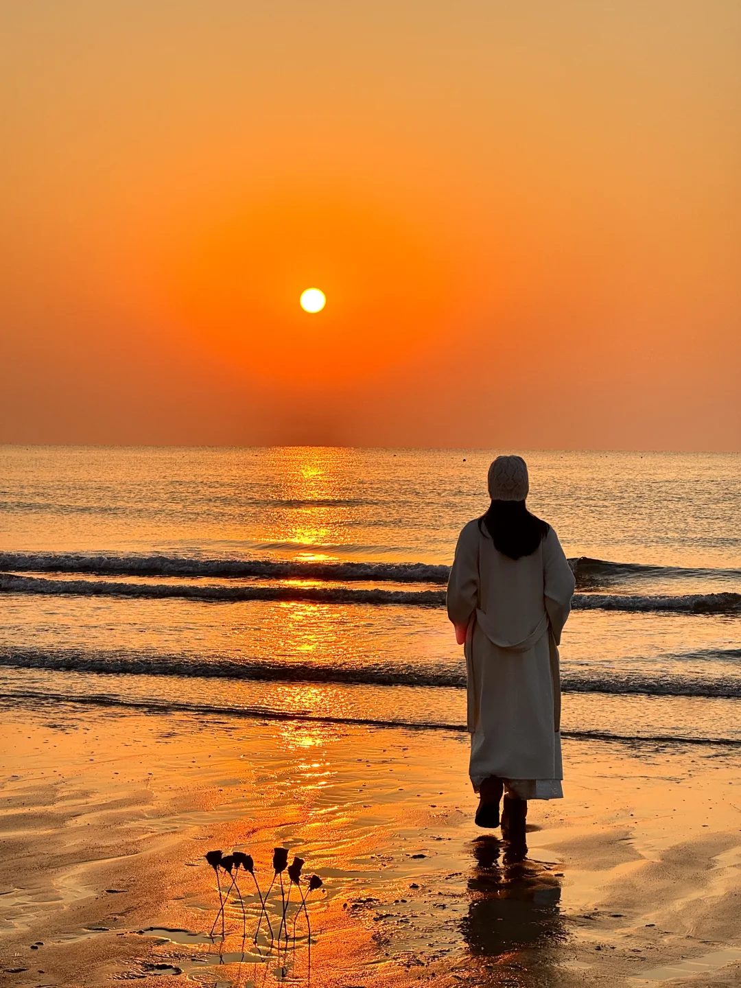 11.22实况❗️青岛橘子海日出🌅真的美哭了😭