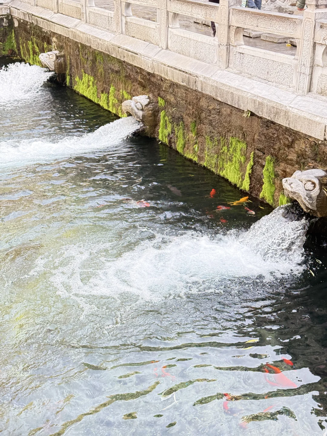 周末出逃计划｜📍济南，两天一夜女生独旅