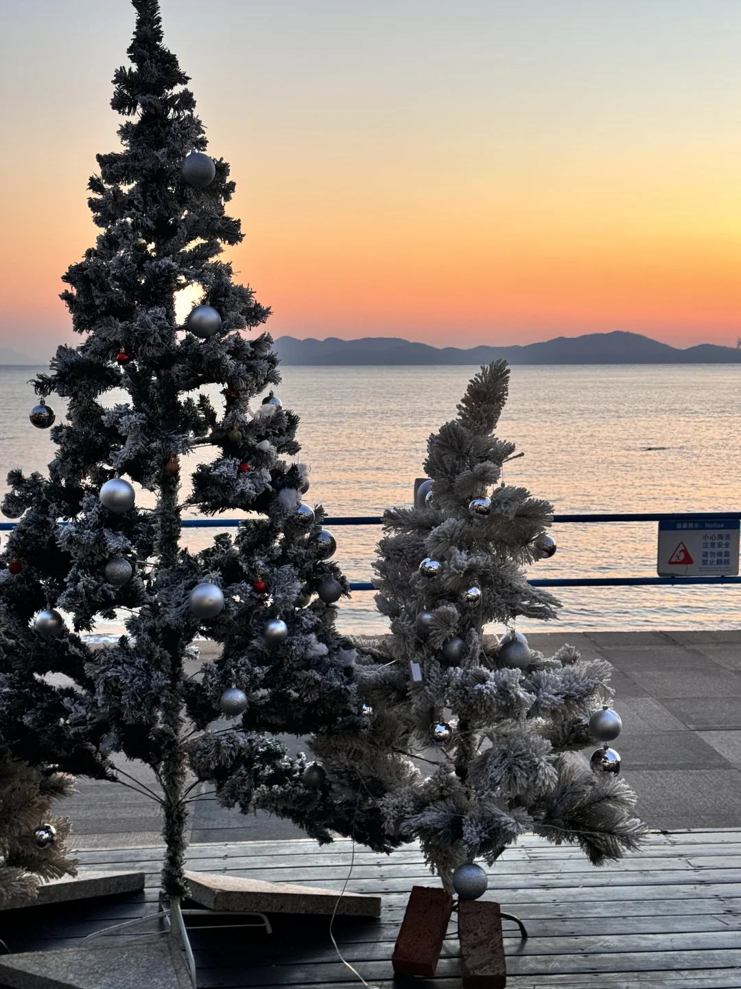 11.25青岛live！！圣诞浓度99.99