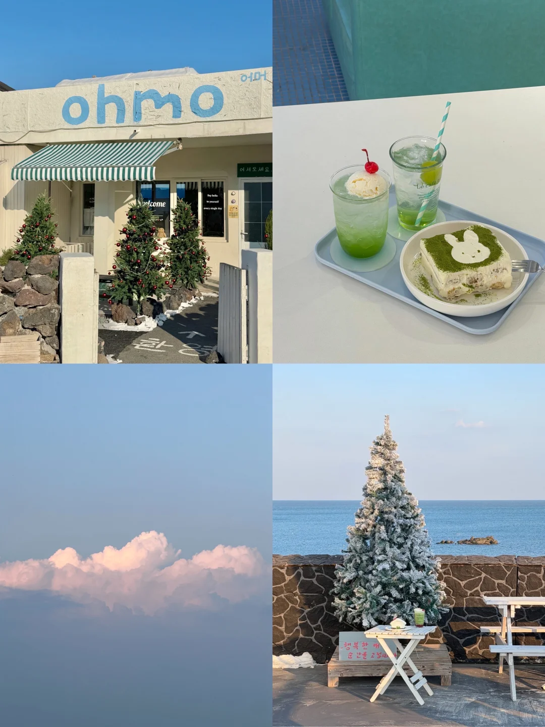 不是jeju是青岛🫧 🐚 𓇼