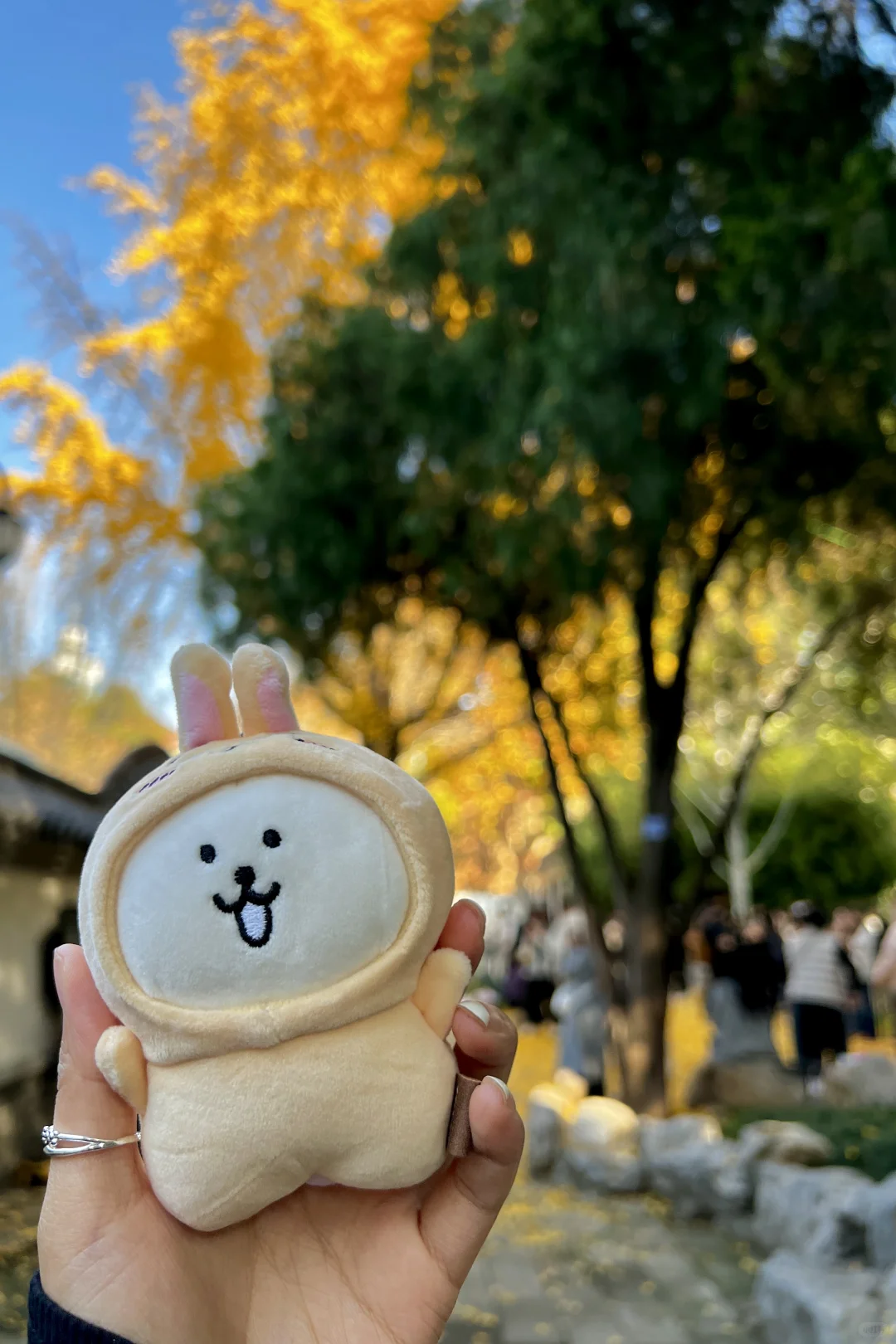 济南|在经三路看今年最后的秋（下）