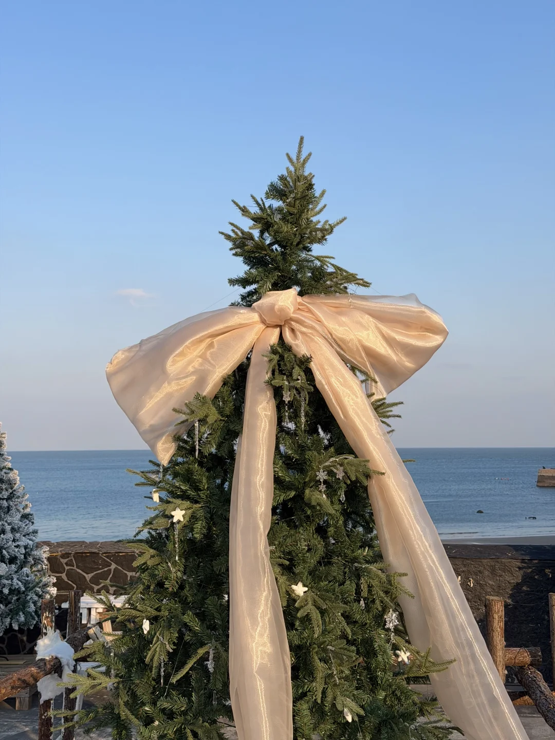 不是jeju是青岛🫧 🐚 𓇼