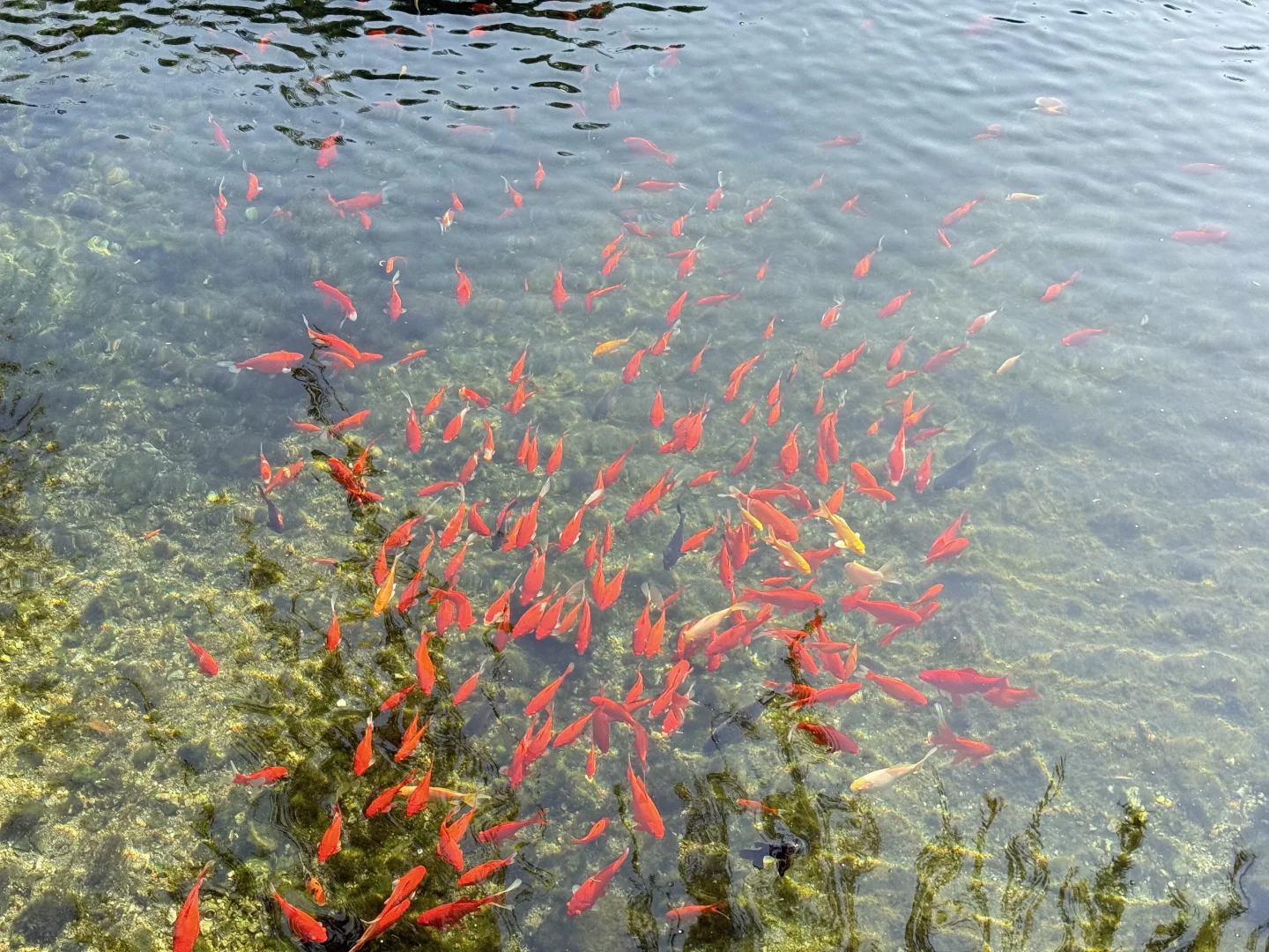 周末出逃计划｜📍济南，两天一夜女生独旅