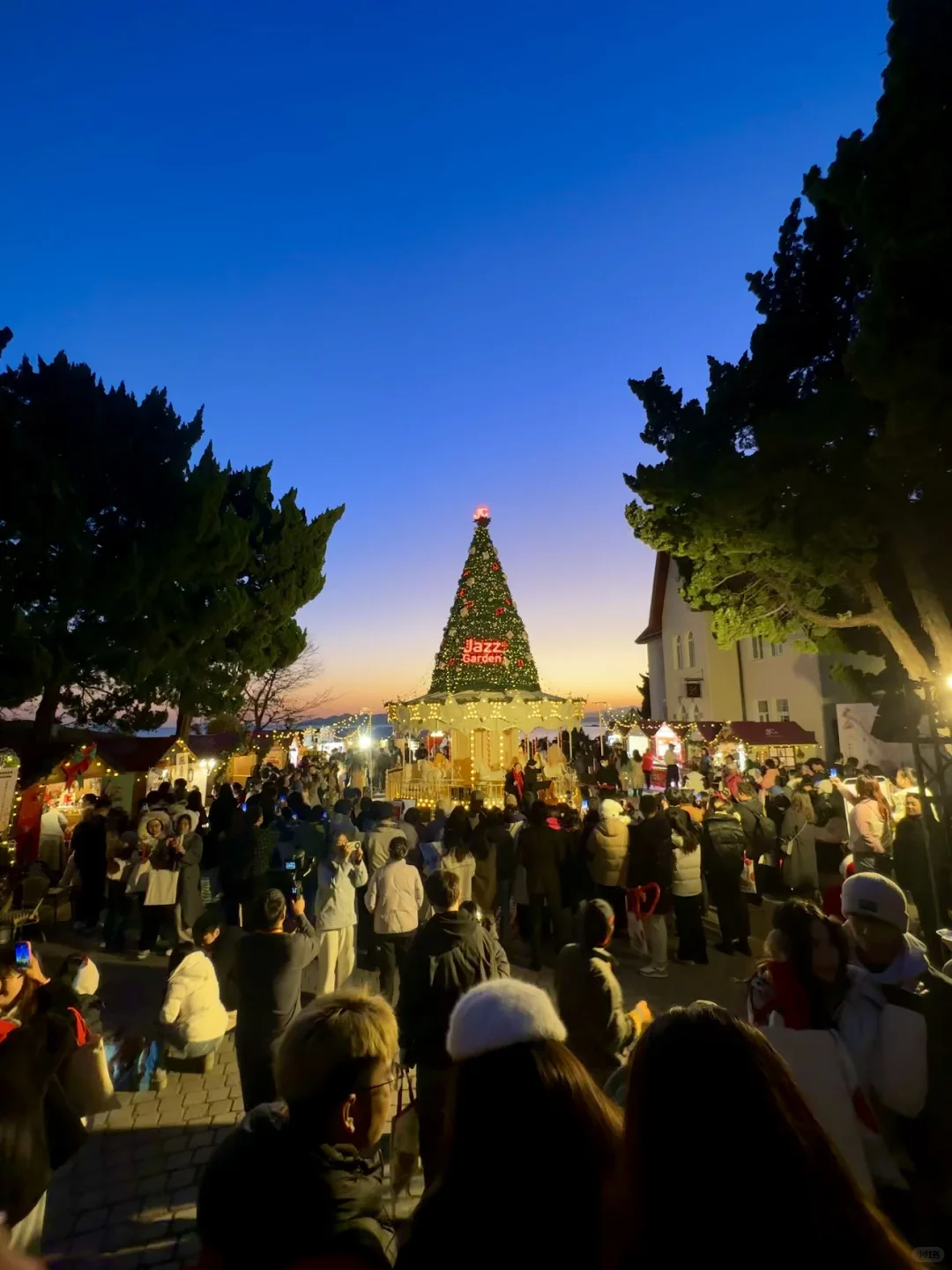 已经开始期待周末的青岛了！圣诞氛围好绝！