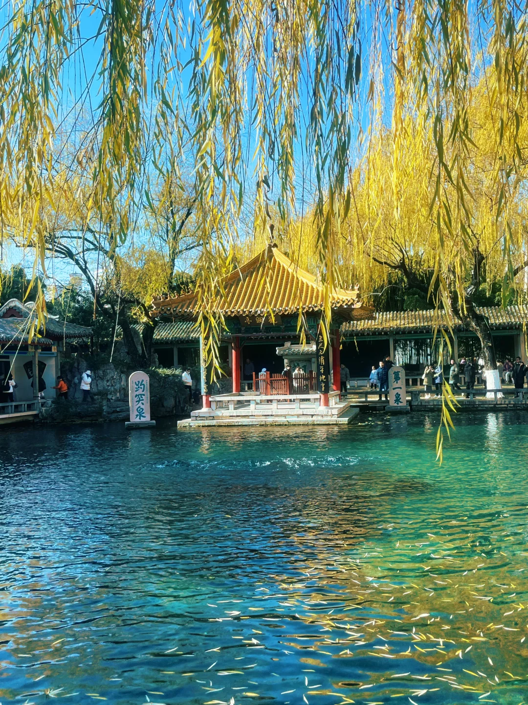 为了这七张图，我来了济南