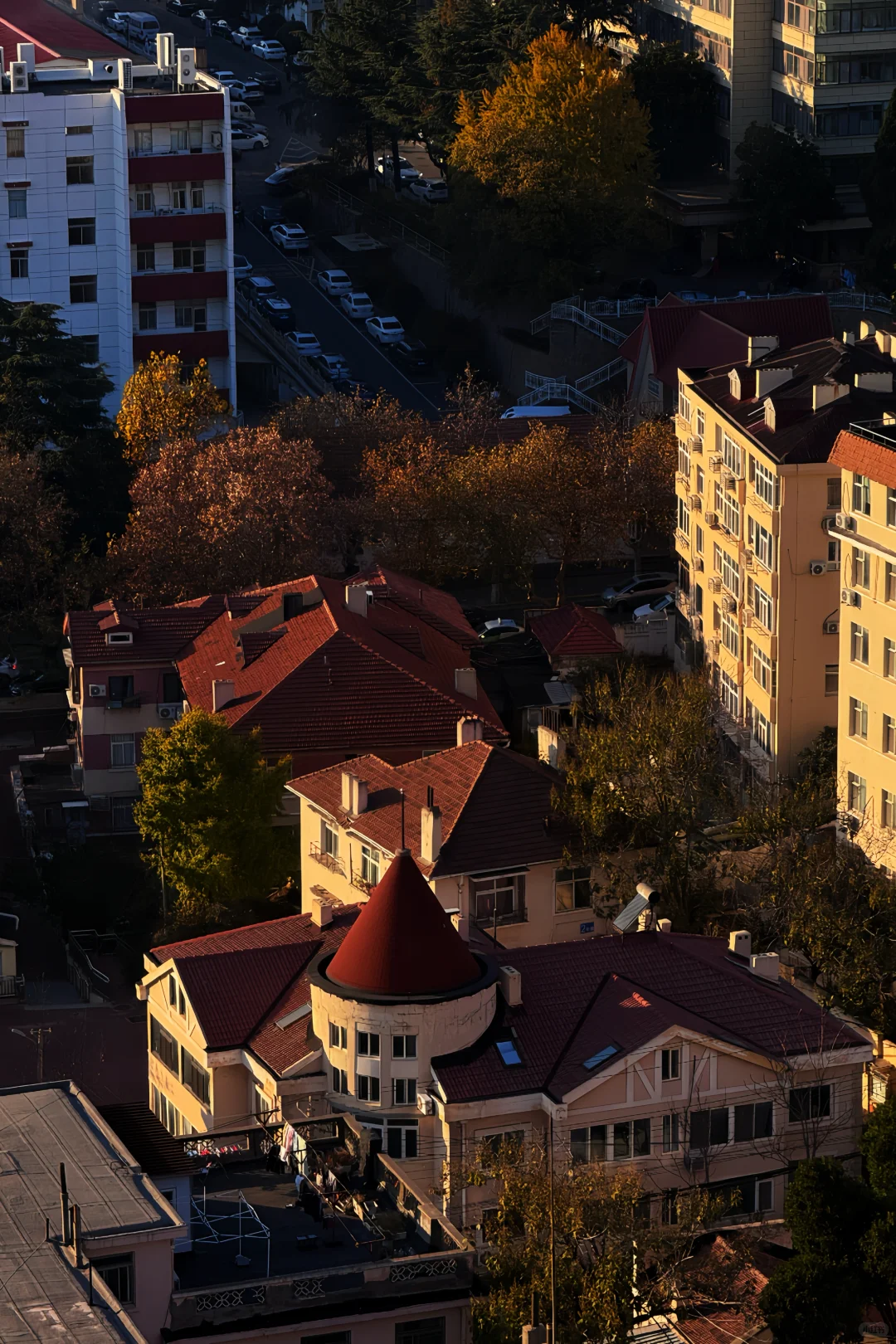 11.21实况｜青岛老城区秋日全景+日落，绝了！