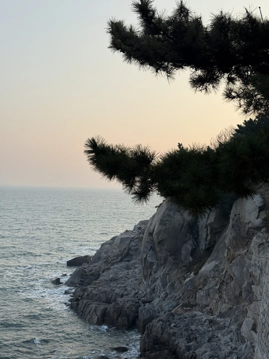 21 岁的某一天 我一个人来到了青岛