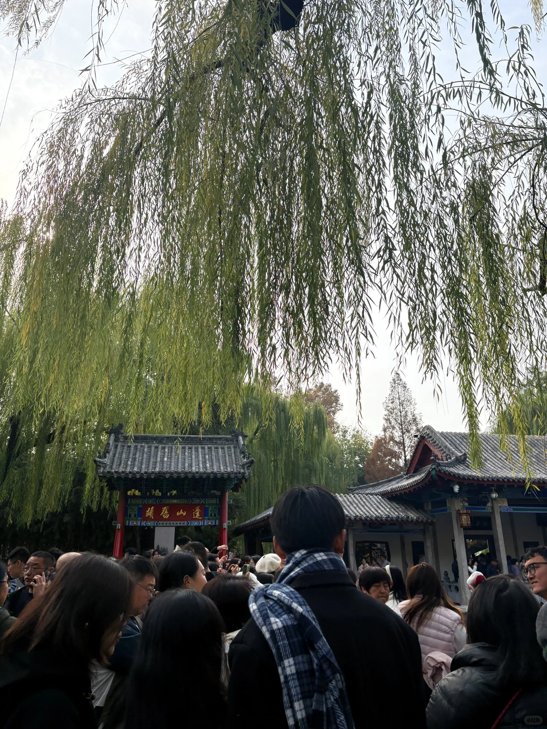 11.23 趵突泉有一亿人！