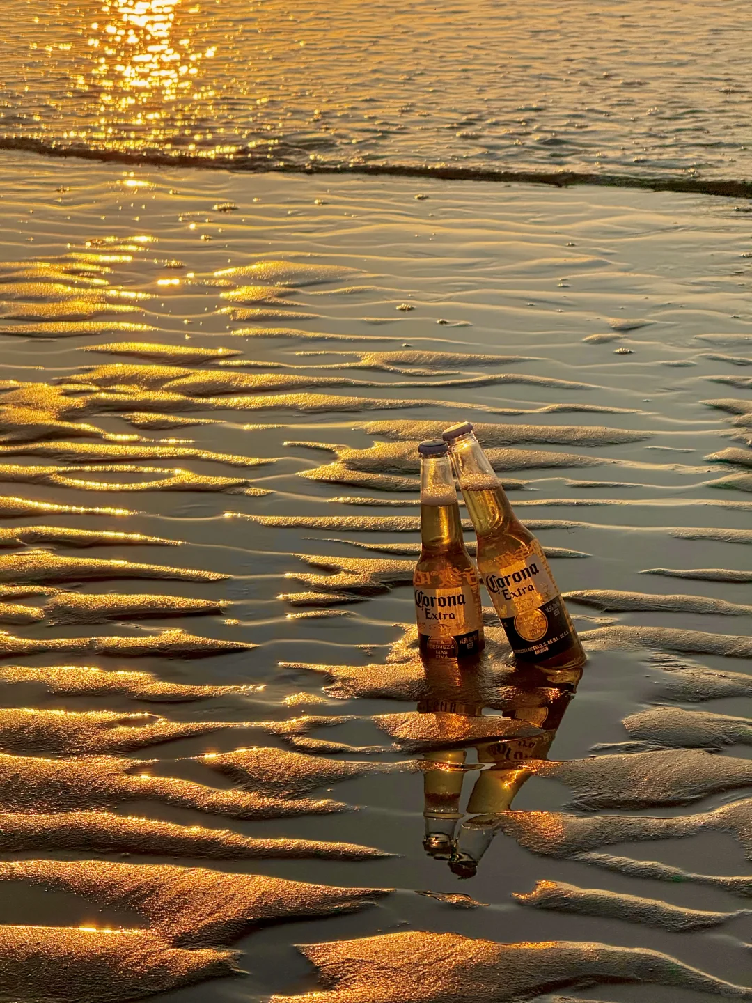 11.22实况❗️青岛橘子海日出🌅真的美哭了😭