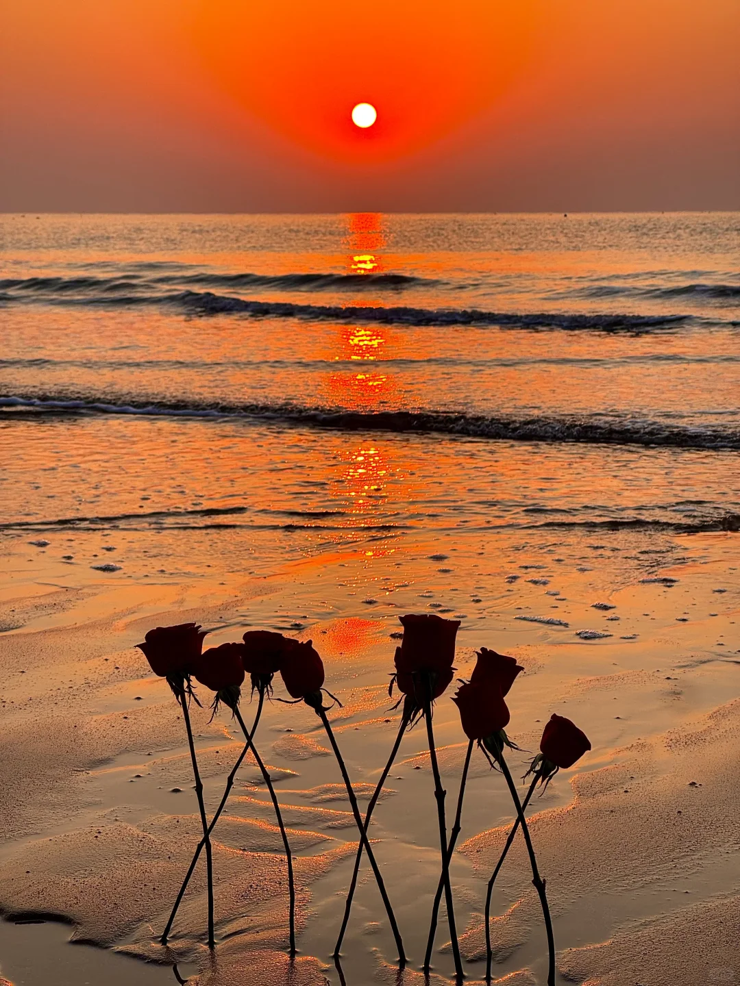 11.22实况❗️青岛橘子海日出🌅真的美哭了😭