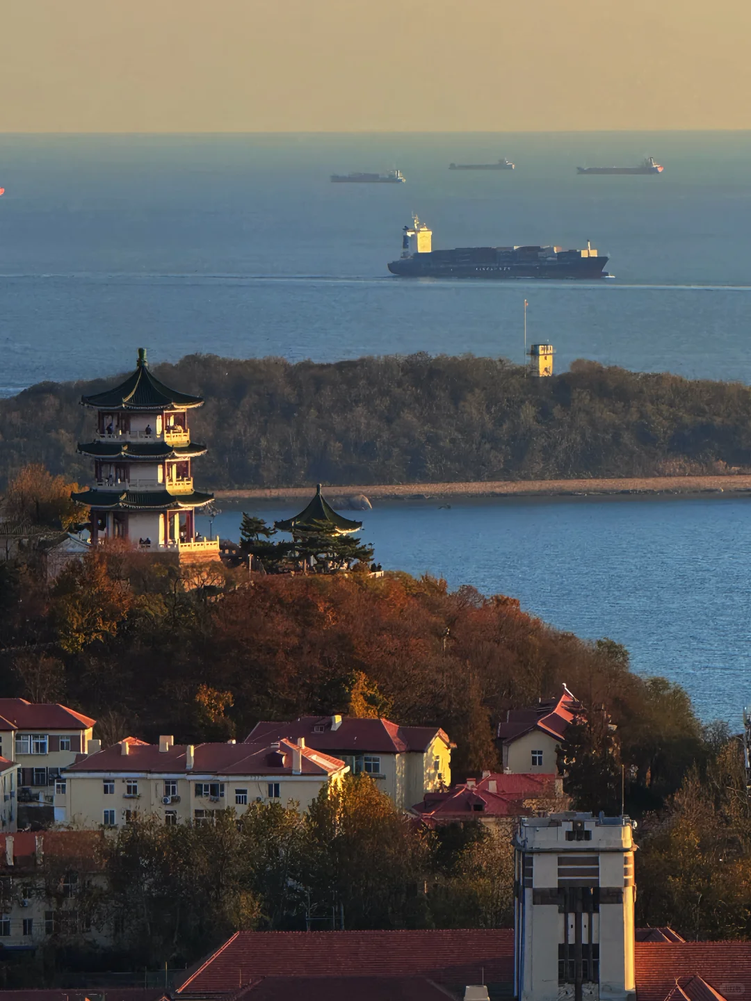 11.21实况｜青岛老城区秋日全景+日落，绝了！