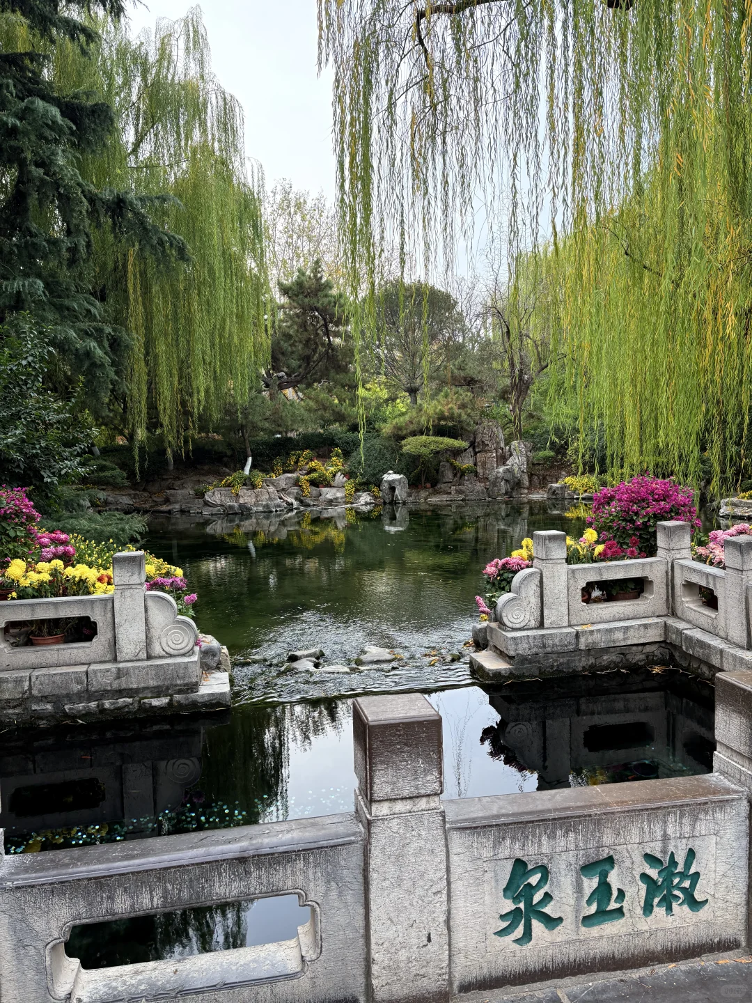 11.23 趵突泉有一亿人！