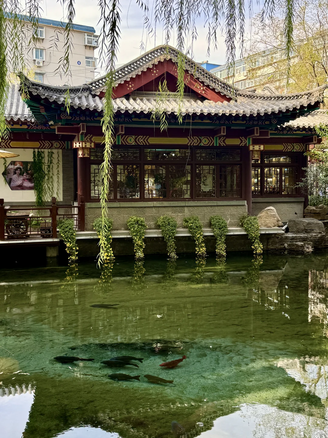 济南·趵突泉·北方小江南🛶