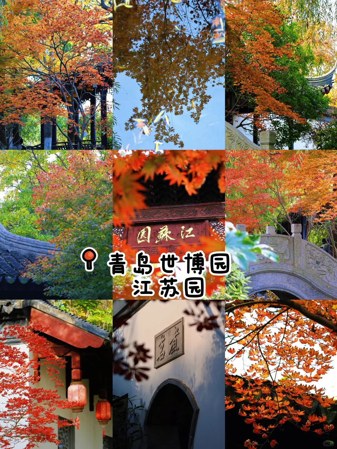 秋日落幕🍂｜我永远爱青岛的秋天👀