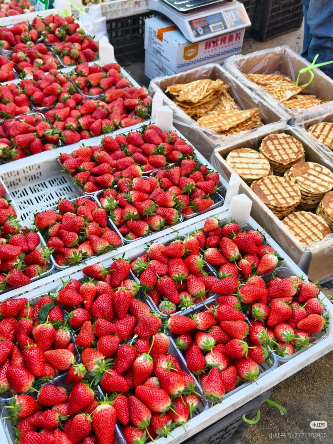 青岛菜场暗语大全 | 学会这招不被坑