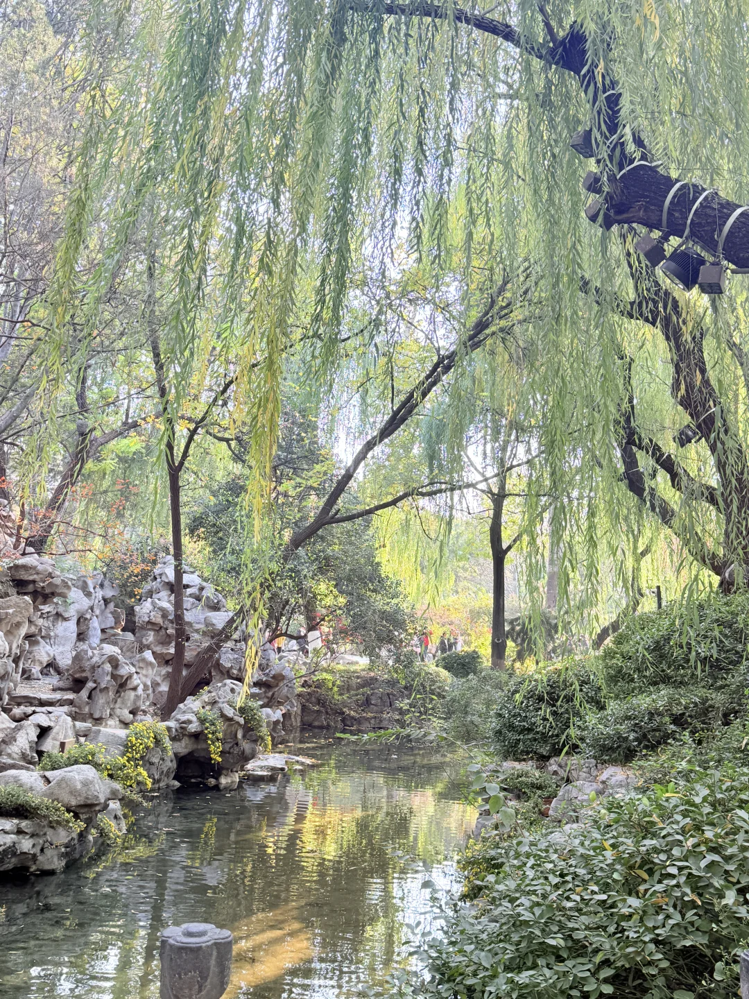 济南趵突泉｜11.22 日实况