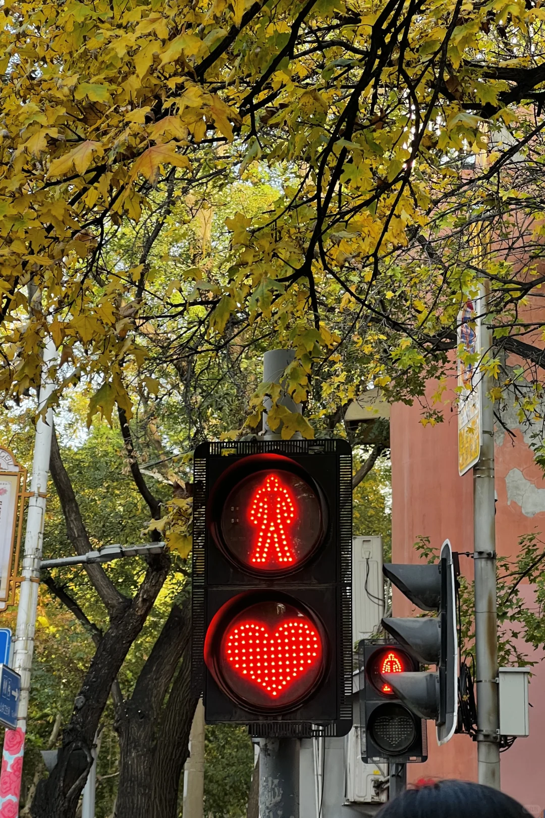济南|在经三路看今年最后的秋（下）
