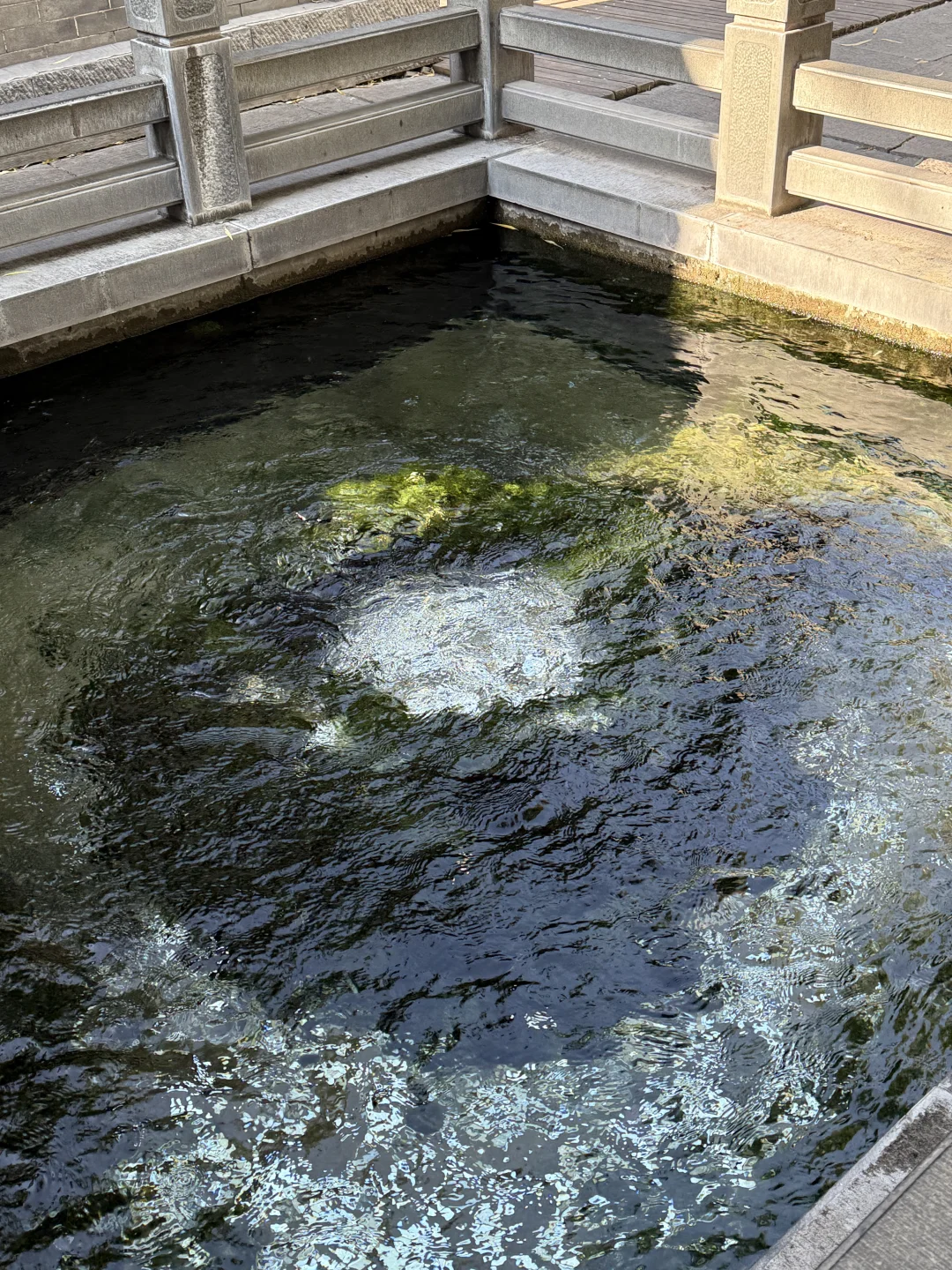 济南·趵突泉·北方小江南🛶