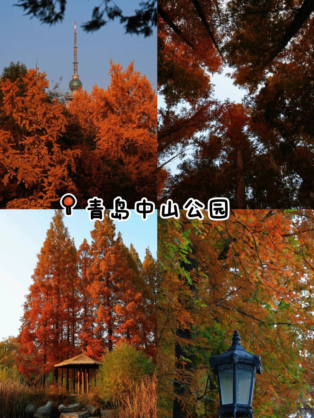 秋日落幕🍂｜我永远爱青岛的秋天👀