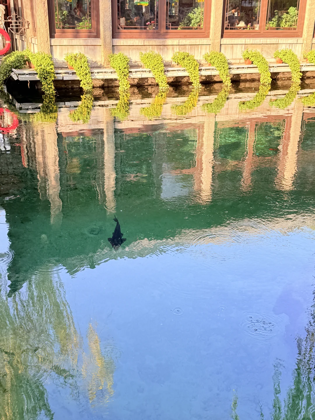 济南趵突泉｜11.22 日实况