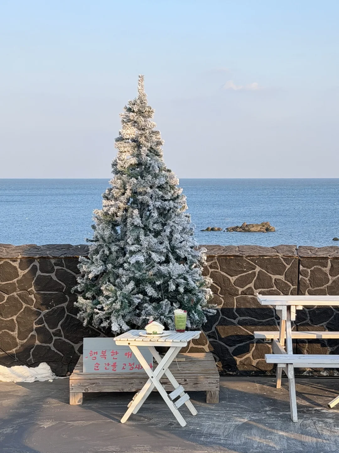 不是jeju是青岛🫧 🐚 𓇼